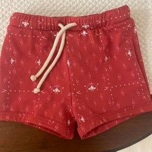 Fin & Vince swim shorts